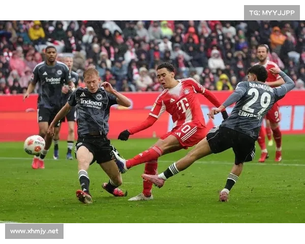 拜仁慕尼黑如何平衡球员期望与现实实现德甲霸主地位